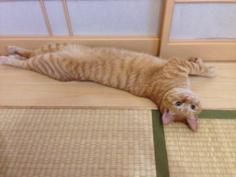 {EE162361-DF5E-4AC6-915A-506E27ADCBDD:01}