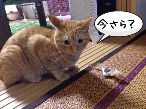 {0A2F9E7F-8C6F-418E-AE4C-40014367DF2C:01}