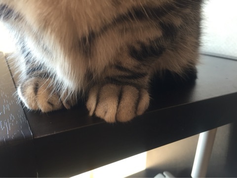 {ACAFE855-10ED-4CAE-AB24-CD7995605ABA:01}