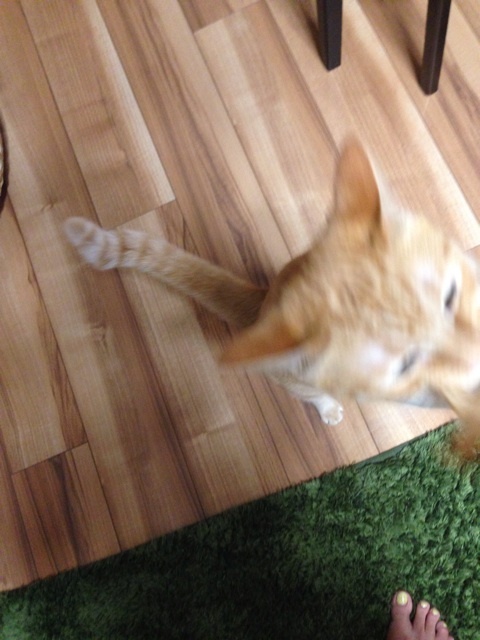 {B31C5BA1-9D6B-41B3-BF82-5E0FC806DE5D:01}