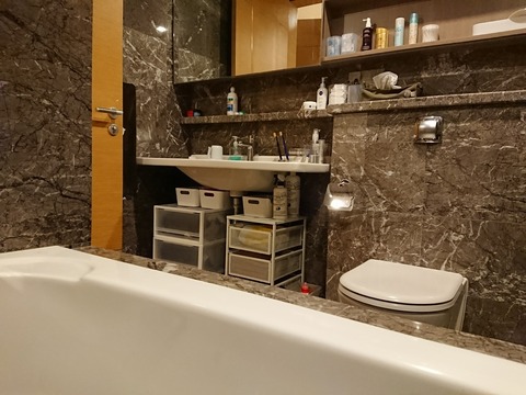[画像:68ea0919-s.jpg]