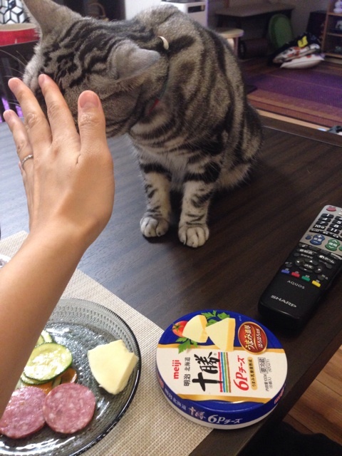 {CAD63FDD-F59B-4E7A-9EC8-8A19E9689136:01}