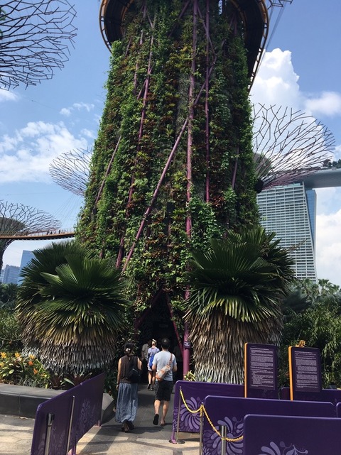 line_190468041356351