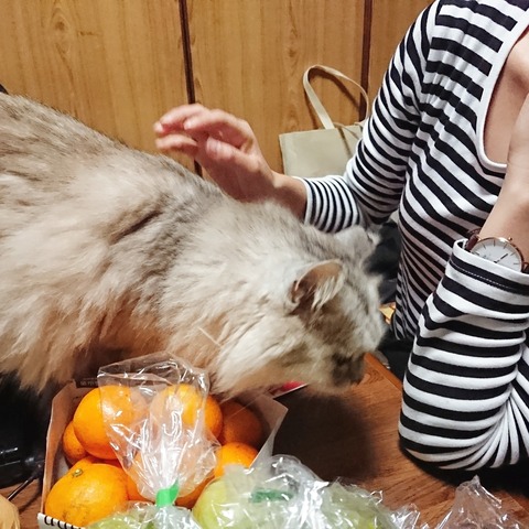 IMG_20181123_193006_364