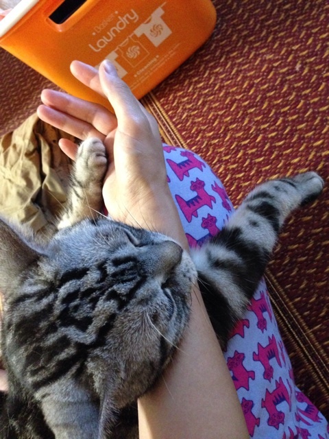 {6F0AE4C7-7EEF-4092-B111-3F209570A19D:01}