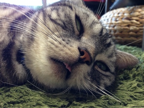 {435969B8-5F5D-4B19-B288-AEB034E69880:01}