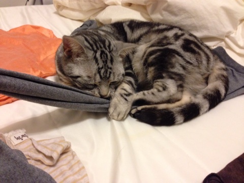 {A72578A1-B2B9-499F-B5C4-EB7EF7F48E2E:01}