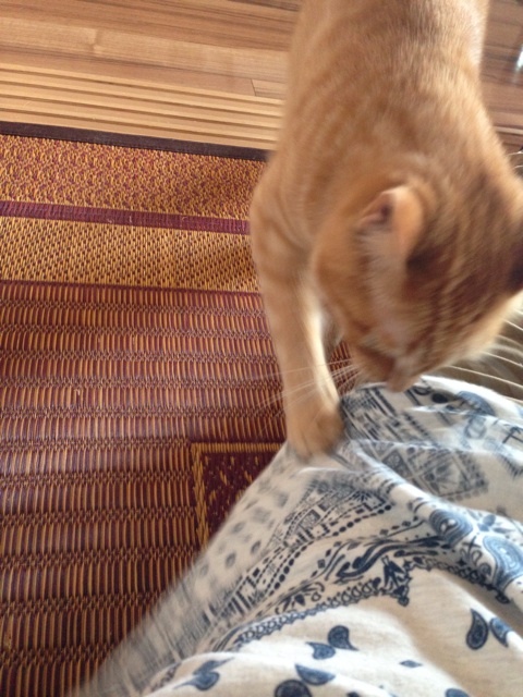 {AED1322D-27CE-4824-86CF-8C9EA9777452:01}