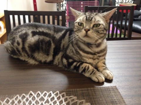 {DE63D120-7F88-4403-AA67-DFAB2ADE95EE:01}