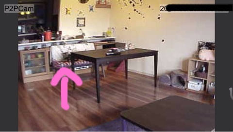 {BF8453D6-2E2F-4351-97A5-2B86CE2CF13C:01}