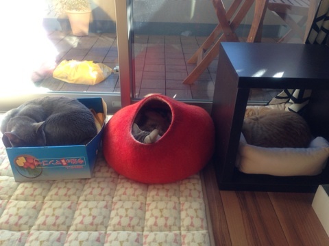 {58F14070-08B4-4CB9-B510-2FC588FD1C93:01}