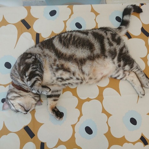 IMG_20171226_120128_891