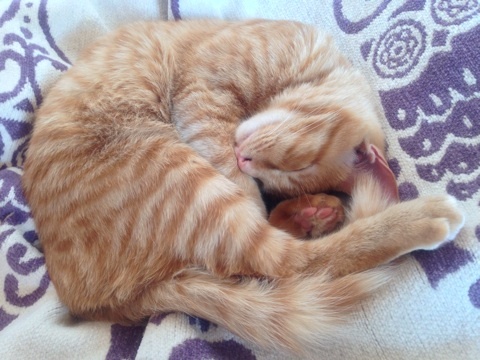 {622E0AF8-6E90-4F8A-8A67-28D4A26F7235:01}