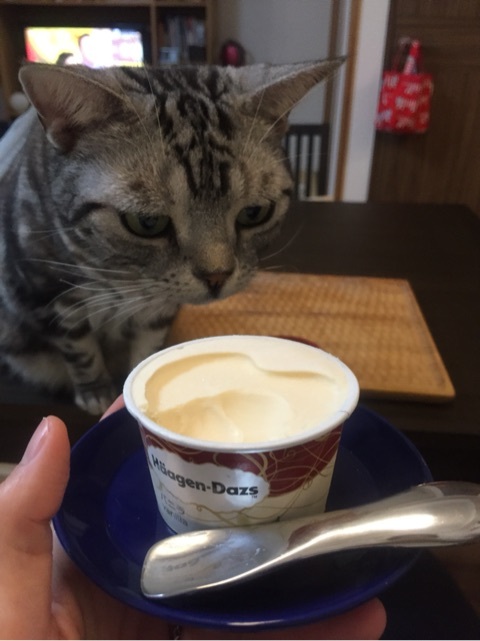 {AC3D1749-1CB8-4B43-B329-1CF3CA1AD4B8:01}