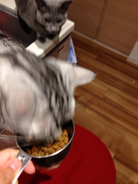 {B65A29A1-7726-466E-9C38-465664DA2238:01}