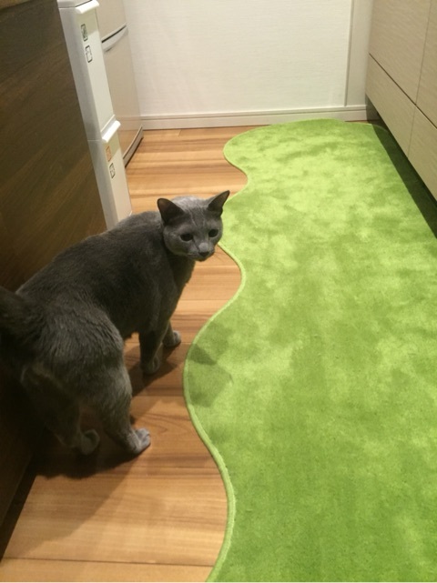 {813CD858-5CC2-45D9-B736-A3F00B38D904:01}