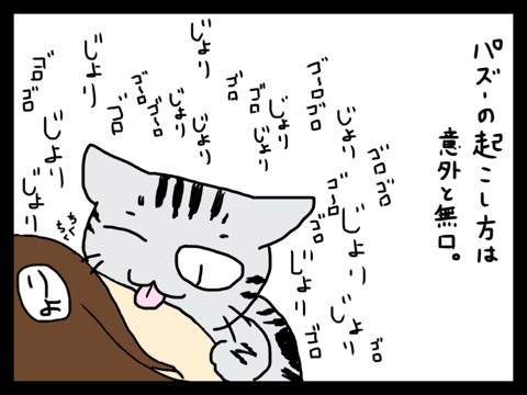 {5BA8568B-BF18-43A8-BDDF-5721D1390276:01}