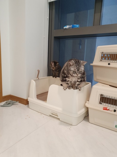 20190929_115855