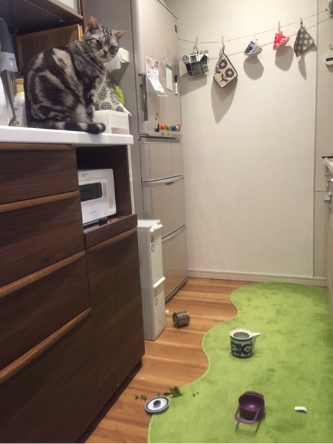 {83F84DC5-A8C9-4B29-987D-035F89439BA6}