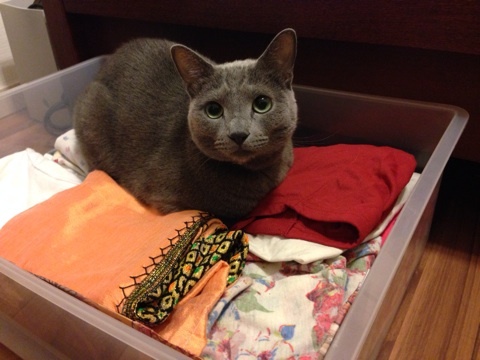 {02106B86-81EF-4F78-827A-563ABFAC760A:01}