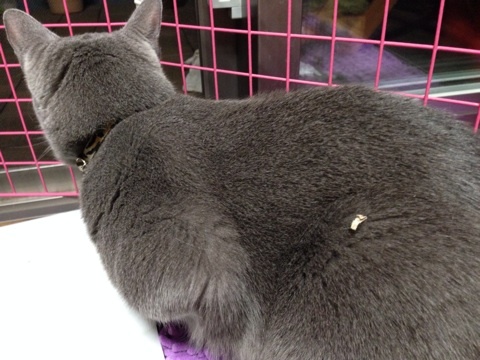 {F0D567E2-BE95-460D-9790-394177DE4276:01}