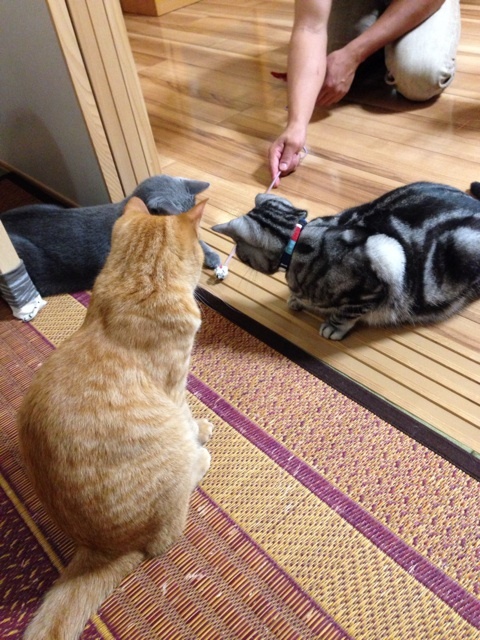 {DB2218C0-53C7-4955-9EB2-D442A4237254:01}