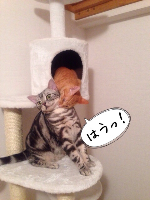 {DB6D93E7-3ADE-425B-8BF3-83A440DB373A:01}