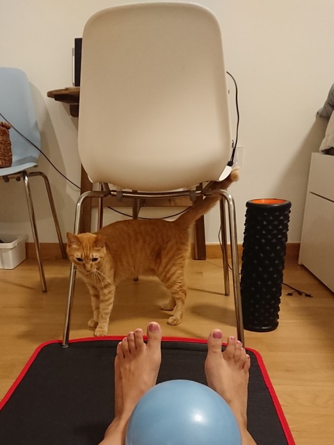 19-03-29-06-41-48-671_deco