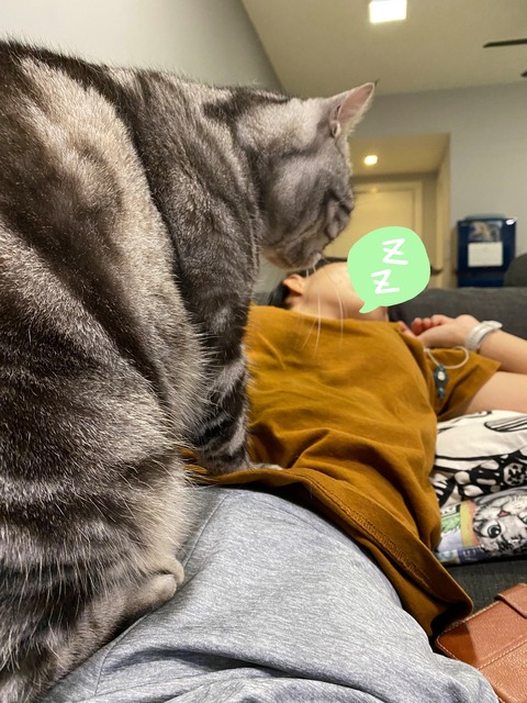 21-11-18-16-09-23-703_deco