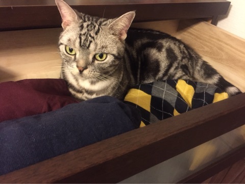 {14D12C80-F1F2-4F3A-93B0-8E515855AA24:01}