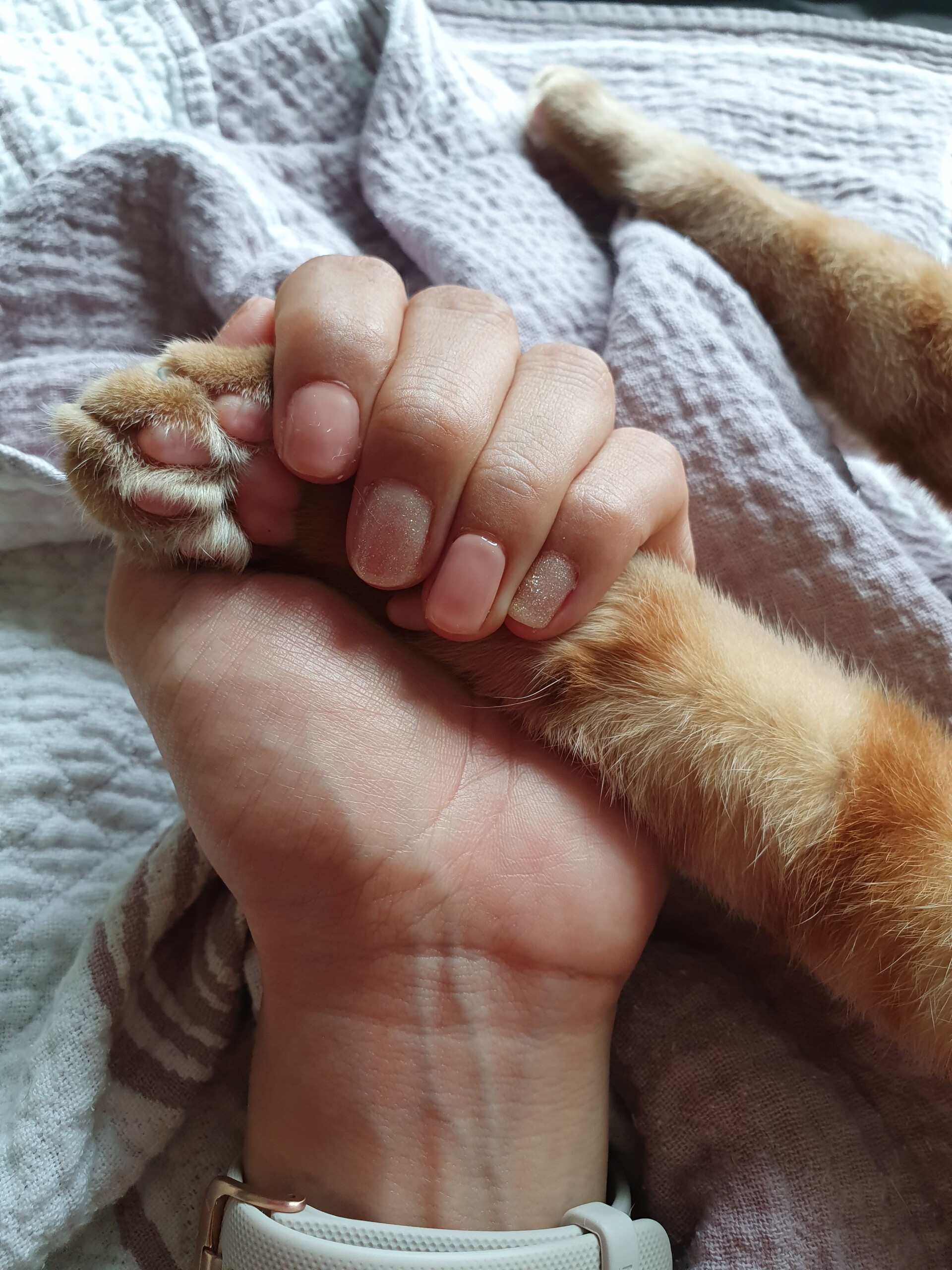 ジェルネイルオフして久しぶりの自爪にびっくり 初めてセルフネイルしてみました ねころぐ にゃんごくlife クアラルンプール Powered By ライブドアブログ