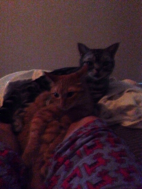 {8444CF27-2E59-4E23-B0B4-3386B525A3AC:01}