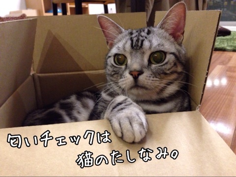 {34EDB3F1-50AE-41B2-B4BB-9B43DB1BD976:01}