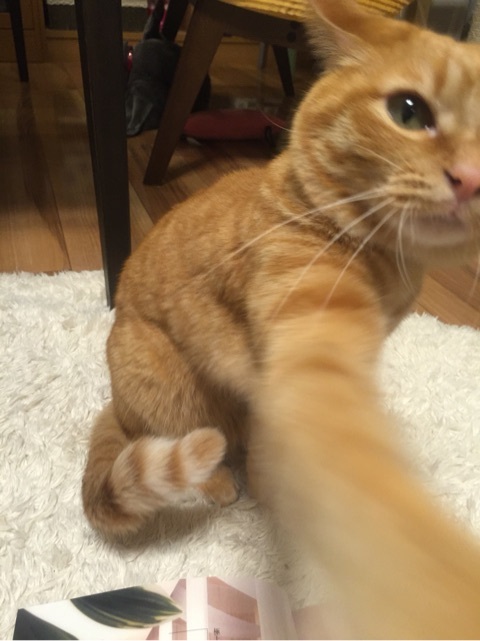 {03589A9A-ED3C-414C-B9ED-91C4B0A4C9BE:01}