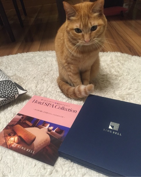 {9B60843C-E60D-4B41-9537-3F7141DF841F:01}