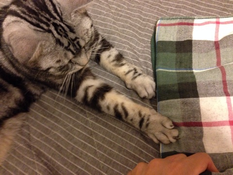 {76818873-79F1-47B2-8039-E61A26ED2D4D:01}