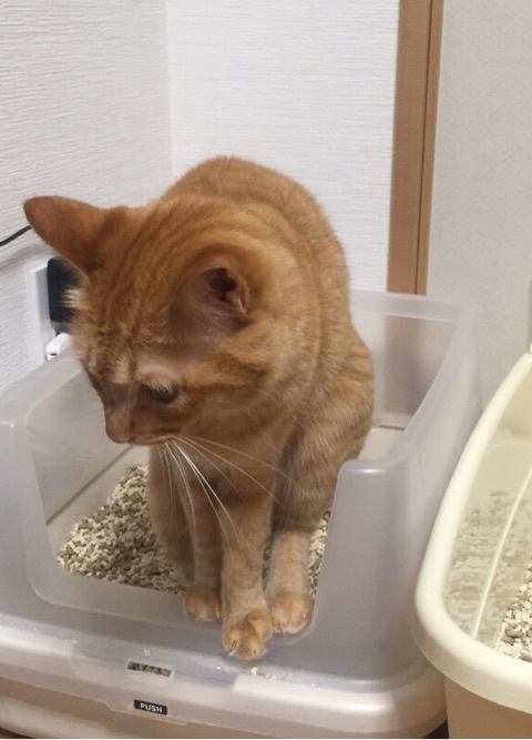 {0A3748CE-69E4-4664-B8E1-C8DA5ECA4C9B:01}