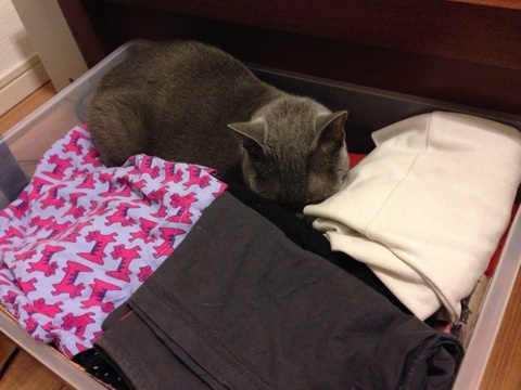 {9E2F960D-E08E-49B9-83A9-FB691044FE24:01}