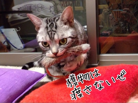 {139370FC-5BE0-4DCF-8BD7-EEA899CE3A97:01}