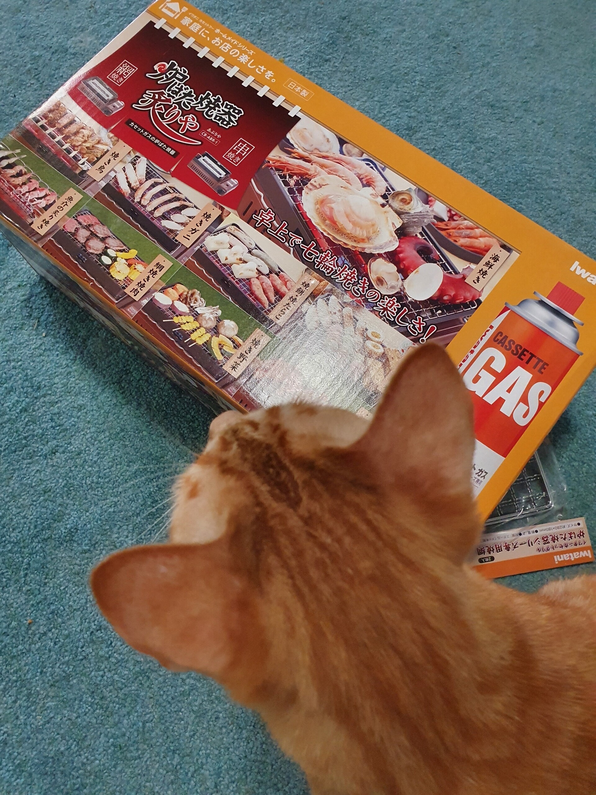 イワタニの炉端焼き器 炙りや を買って赤魚の干物を焼いてみた ねころぐ にゃんごくlife クアラルンプール Powered By ライブドアブログ