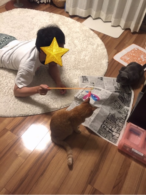 {740CC0A8-1A62-4F15-A96B-E26E3ECD4C93}