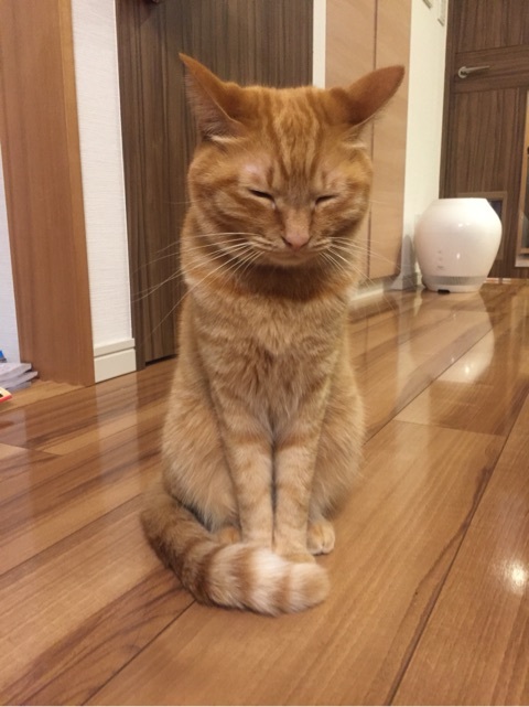 {A47CED98-9DAC-49E1-8801-C3C323A89467:01}