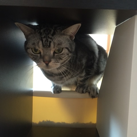 {B5A8093A-7291-40B6-BC84-DFFFF5635843:01}