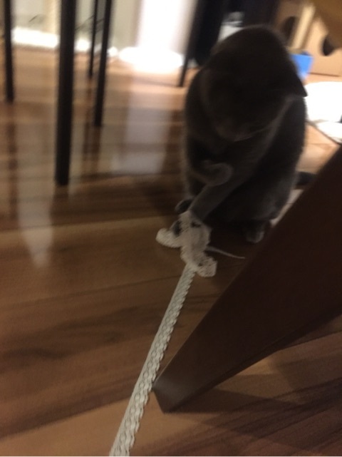 {A6CBE3D0-B446-4A07-8E82-6AE344B0D3B5:01}