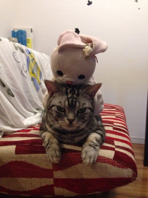 {BC593F4F-E34D-42F2-BE96-50F7B036D69E:01}