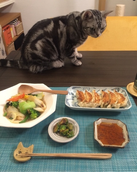 {00F8700D-18EC-491B-BD28-969676FE5E42:01}