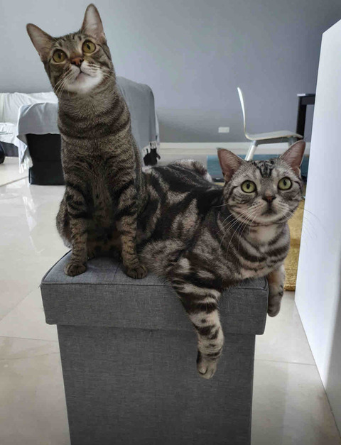 FullSizeRender