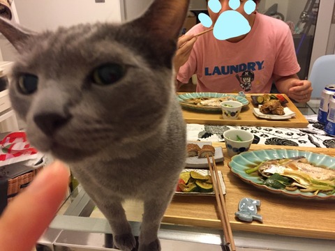 18-04-26-08-28-27-984_deco