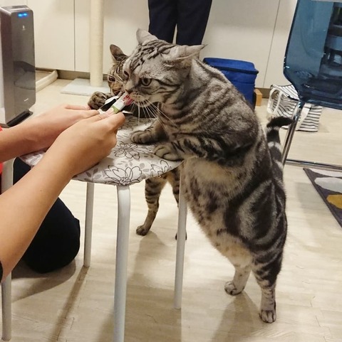 IMG_20181222_105746_718