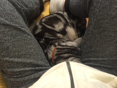 {BEDDAD90-10BD-49A7-8FC6-7D75530E7B5D:01}